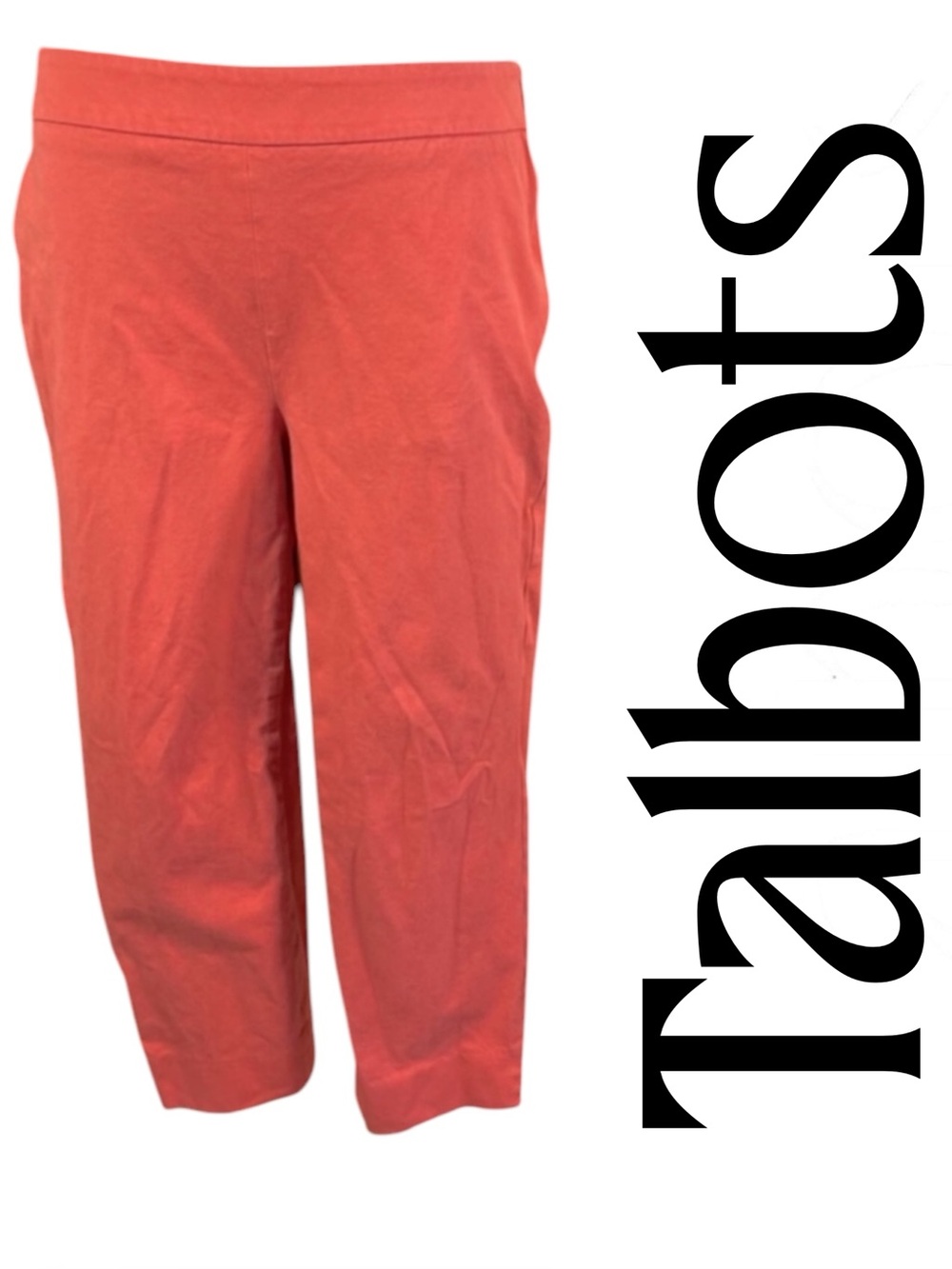 6P Talbots pants